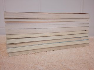LOTE (V) DE 10 LIBROS EL BARCO DE VAPOR (azules)
