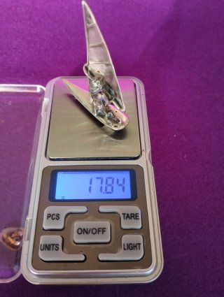 Miniatura de plata windsurf