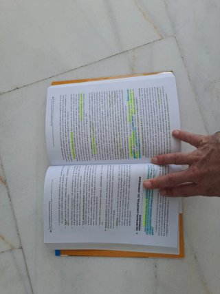 Políticas comparadas de la educación social