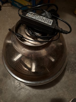 Peladora