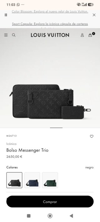 Bolso Louis Vuitton Negro con Monedero
