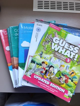 Conjunto libros 3 primaria
