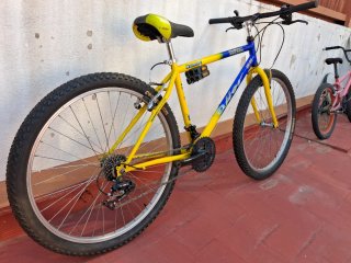 Bici Montaña Rueda 26