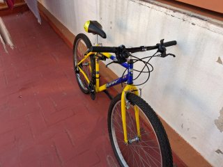 Bici Montaña Rueda 26