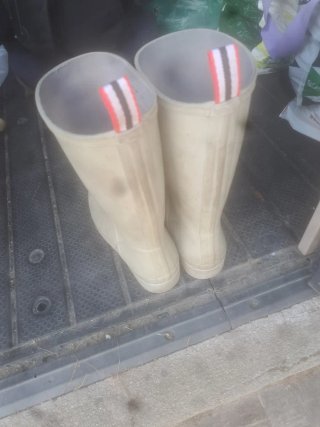 Botas de agua Hunter beige