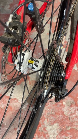 Specialized Epic Expert Brain 29 Roja