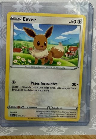 Lote pokemon tcg
