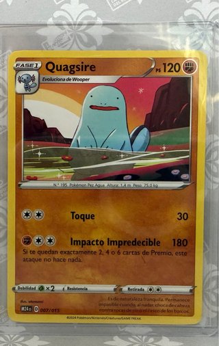 Lote pokemon tcg