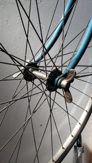 Bicicleta BH Gacela Azul
