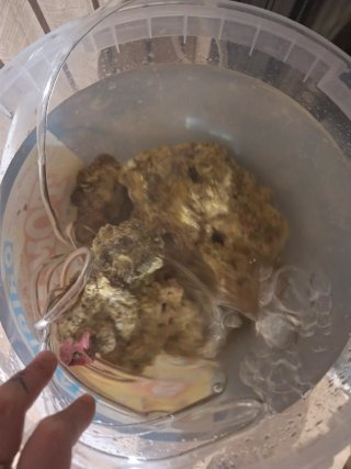 Roca viva para acuario 9 euros el kilo