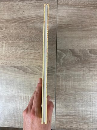 Negan
