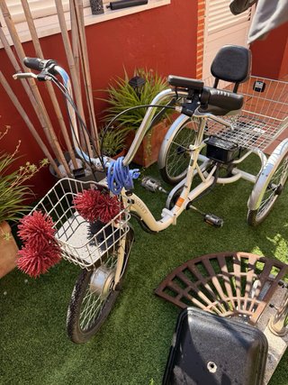 Triciclo Eléctrico Adultos Monty