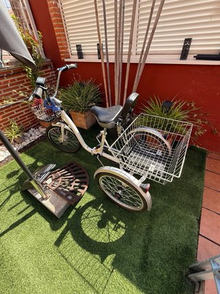 Triciclo Eléctrico Adultos Monty