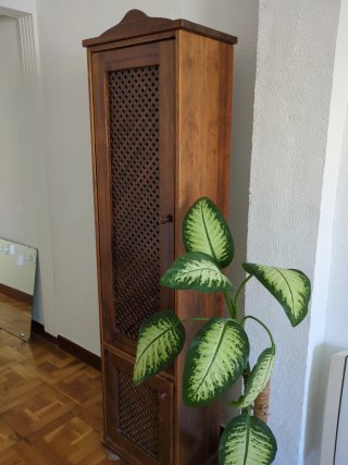 Armario/aparador de madera