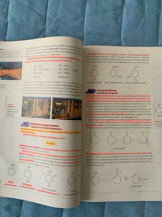 Libro superiori liceo Chimica Organica polimeri ..