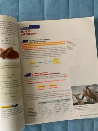 Libro superiori liceo Chimica Organica polimeri ..
