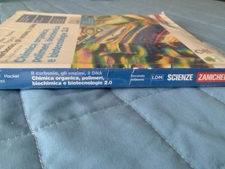 Libro superiori liceo Chimica Organica polimeri ..