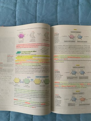 Libro superiori liceo Chimica Organica polimeri ..