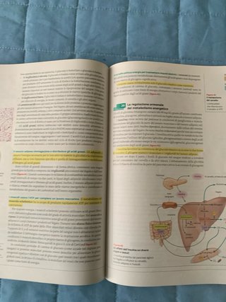 Libro superiori liceo Chimica Organica polimeri ..