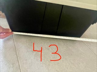Transportín para perros