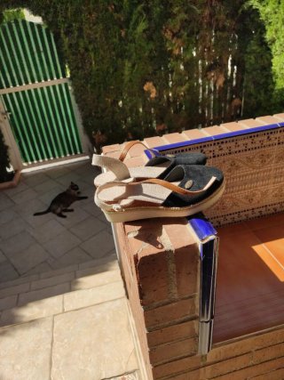 Zapatos de cuña negros