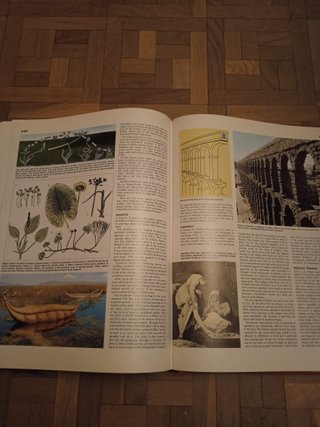 Enciclopedia The New Caxton Encyclopedia (Inglés)