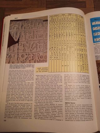 Enciclopedia The New Caxton Encyclopedia (Inglés)