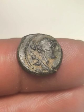 Moneda Griega Reino Seleucida Antiochos VIII