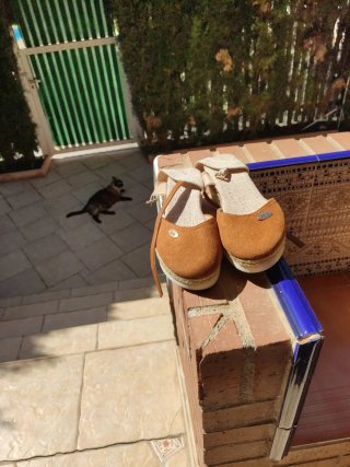 Zapatos cuña marrón y beige