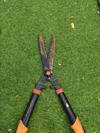 Forbici da potatura professionali