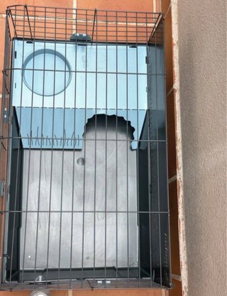 Jaula para conejo o roedor