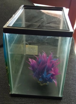 Pecera Acuario Decorado, con arbolito y filtro