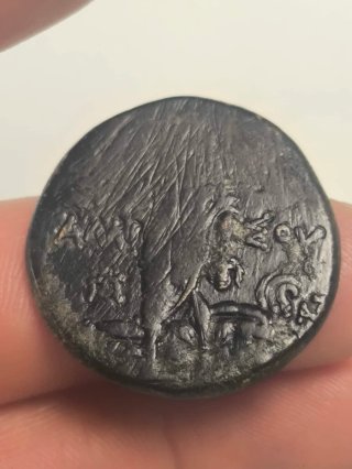 Moneda Griega Pontos Amisos