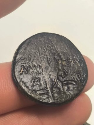 Moneda Griega Pontos Amisos
