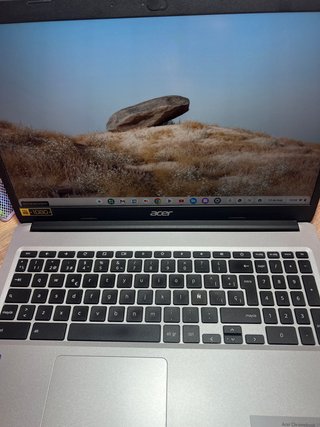 Portátil Acer Chromebook 315 Plata/Negro
