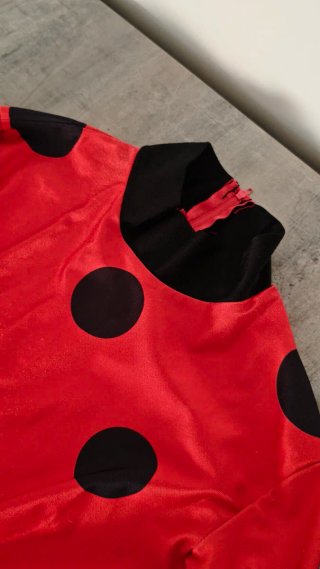 Disfraz Ladybug Adulto