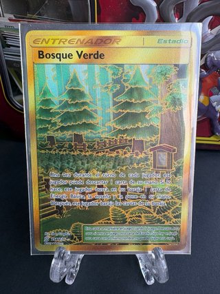 Carta Entrenador Pokemon Bosque Verde Estadio