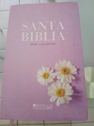 Biblia RVR60 tamaño manual letra grande tapa fl...