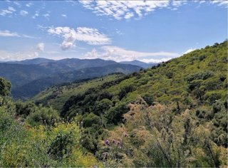 Terreno en Benalauría, Parcela 12