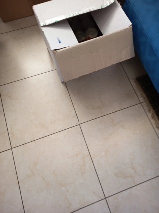 Scatola con terra
