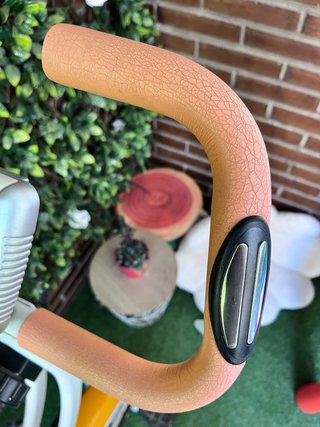Bicicleta Estática Ultrasport F-Bike Plegable