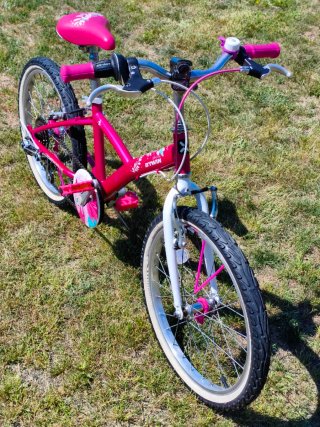 Bicicleta niña 20 pulgadas