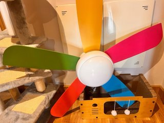 Ventilador de techo lámpara multicolor