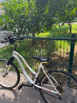 Bicicleta Boomerang Spirit Adulto