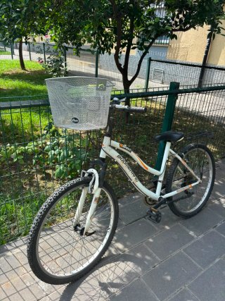 Bicicleta Boomerang Spirit Adulto