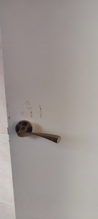 Puerta maciza interior