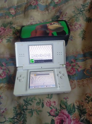 Consola Nintendo DS Blanca confunda y sin cargador