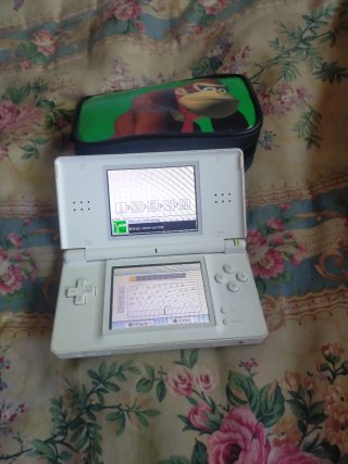 Consola Nintendo DS Blanca confunda y sin cargador