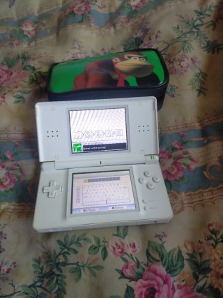 Consola Nintendo DS Blanca confunda y sin cargador