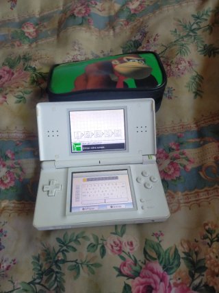 Consola Nintendo DS Blanca confunda y sin cargador